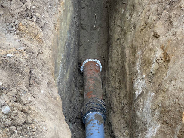 Best Flood damage cleanup  in Bloomsburg, PA