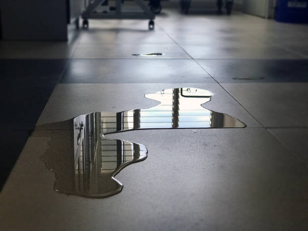 Best Professional water damage repair  in Bloomsburg, PA