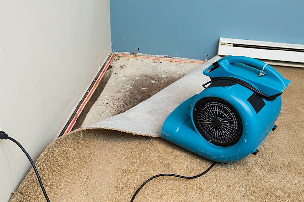 Best Local water damage restoration  in Bloomsburg, PA